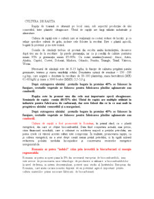 Prezentarea societății comerciale SC Agro Rapița SRL - Pagina 1