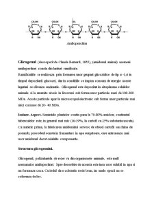 Oligozaharide și Polizaharide - Pagina 4
