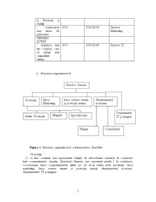Modelarea Sistemelor Informatice - Pagina 5
