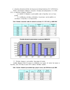 Analiza statistică a forței de muncă la întreprinderea SC XYZ SRL în perioada 2005-2010 - Pagina 3