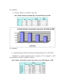 Analiza statistică a forței de muncă la întreprinderea SC XYZ SRL în perioada 2005-2010 - Pagina 5