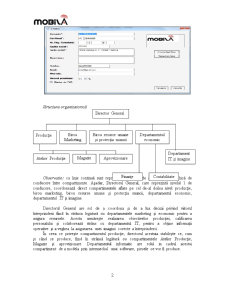 Auditul Sistemelor Informatice - SC Mobi SRL - Pagina 2