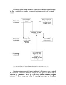 Metodologia Cercetarii Sociologice - Pagina 5