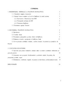 Raport de practică Raiffeisen Suceava 2011 - Pagina 2