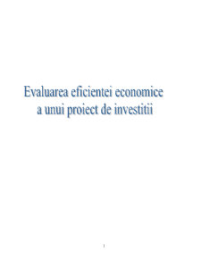 Evaluarea eficienței economice a unui proiect de investiții - Pagina 1