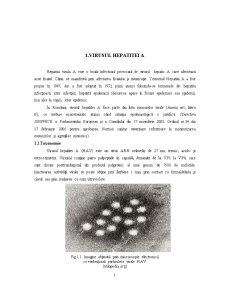 Agenți cu potențial patogen din produsele de origine animală - virusul Hepatitei A, virusul Hepatitei E - Pagina 1