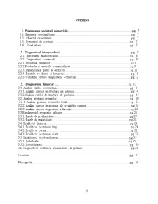 Analiza performanțelor financiare ale societății comerciale SC Andral Expos SRL - Pagina 1