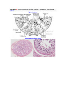 Subiecte Examen Embriologie UTM - Pagina 5
