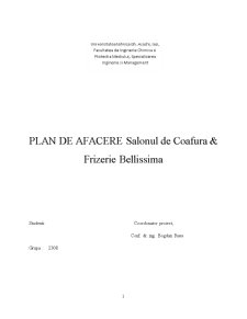 Plan de afacere salonul de coafură și frizerie Bellissima - Pagina 1