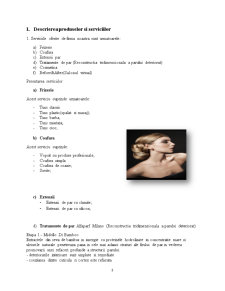 Plan de afacere salonul de coafură și frizerie Bellissima - Pagina 3