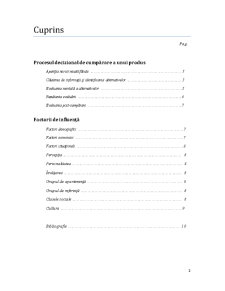 Procesul Decizional de Cumpărare a unei Imprimante Multifuncționale - Pagina 2