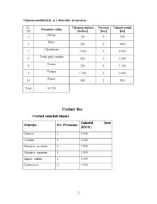 Analiza Costurilor de Fabricație a Produselor din Cartofi - Chipsurile - Pagina 4