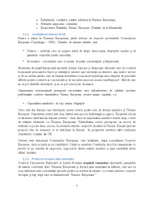 Premise pentru Aderarea României la Zona Euro - Pagina 5