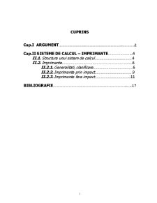 Structura sistemului de calcul - imprimante - Pagina 2
