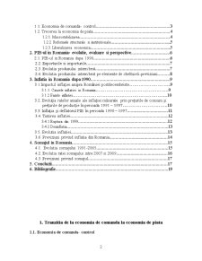 Tabloul macroeconomic al României - evoluție, evaluare și perspectivele economiei începând cu anul 1990 - Pagina 2