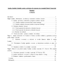 Analiza bonității clienților pentru activitatea de corporate pe exemplul Băncii Comerciale Române - Pagina 1