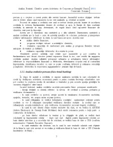 Analiza bonității clienților pentru activitatea de corporate pe exemplul Băncii Comerciale Române - Pagina 4