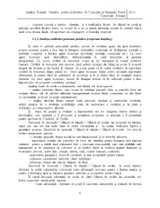 Analiza bonității clienților pentru activitatea de corporate pe exemplul Băncii Comerciale Române - Pagina 5