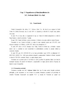Organizarea și funcționalitatea la SC Sedcom Libris SA Iași - Pagina 1