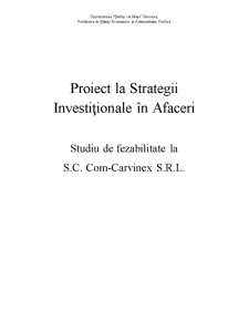 Strategii investiționale în afaceri - studiu de fezabilitate la SC Com Carvinex SRL - Pagina 1