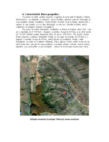 Fenomene Hidrice de Risc în Localitatea Pâhnești - Pagina 2