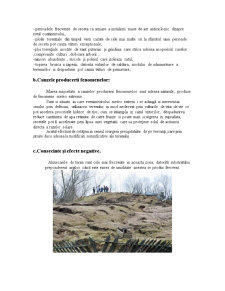 Fenomene Hidrice de Risc în Localitatea Pâhnești - Pagina 4