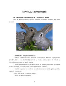 Firmă de iepuri - Pagina 2