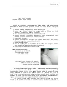 Patologia conținutului scrotal - Pagina 5