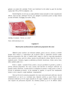 Ambalarea preparatelor din carne - Pagina 3