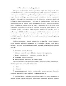 Structura organizatorică în cadrul întreprinderii SC Vitanta SA - Pagina 4