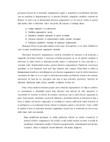 Structura organizatorică în cadrul întreprinderii SC Vitanta SA - Pagina 5