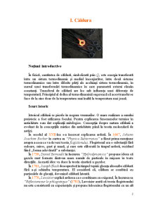 Transferul de căldură la schimbarea de fază în operația de fierbere - Pagina 3
