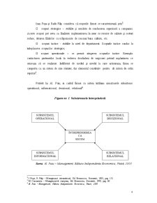 Managementul Finanțării Internaționale a Întreprinderilor Românești - Pagina 5