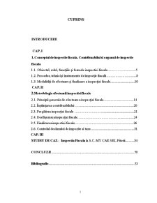 Organizarea și Exercitarea Controlului Fiscal din România - Pagina 2