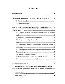 Evaluarea Performanțelor Profesionale în Instituțiile Publice - Pagina 1