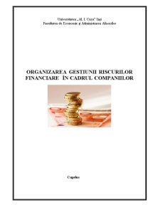 Organizarea Gestiunii Riscurilor Financiare în Cadrul Companiilor - Pagina 1