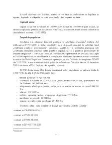 Evaluare SC TD Bodra Impex SRL - Pagina 4