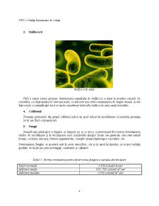 Microbiota Aerului - Pagina 4