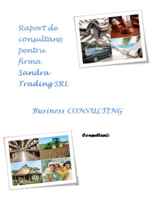 Raport de consultanță pentru firma SC Sandra Trading SRL - Pagina 1