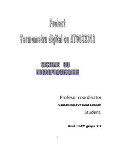 Termometru Digital cu AT90S2313 - Pagina 1