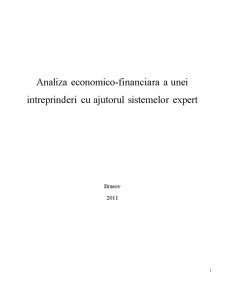 Analiza economico-financiară a unei întreprinderi - Pagina 1