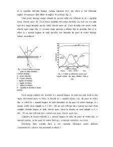 Analiza Instrumentală a Calitătii Senzoriale a Produselor Lactate - Pagina 2