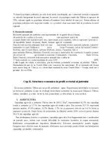 Poziția Judetului Vâlcea în Cadrul Regiunii de Dezvoltare Sud-vest Oltenia - Pagina 5