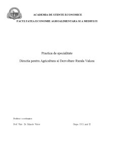 Practică de specialitate - Direcția pentru Agricultură și Dezvoltare Rurală Vâlcea - Pagina 1