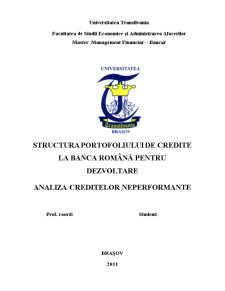 Structura portofoliului de credite la BRB - analiza creditelor neperformante - Pagina 1