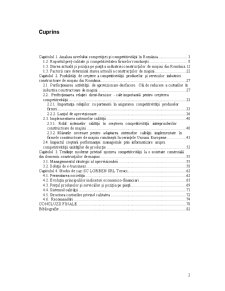 Posibilități de Creștere a Competitivității Produselor și Serviciilor în Cadrul SC Lorben SRL Tecuci - Pagina 3