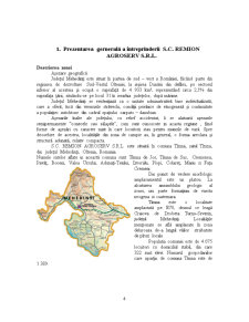Analiza veniturilor la întreprinderea agricolă SC Remion Agroserv SRL - Pagina 1