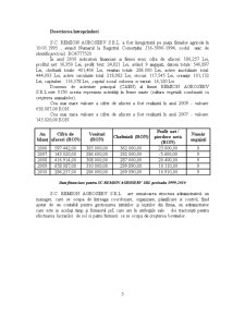 Analiza veniturilor la întreprinderea agricolă SC Remion Agroserv SRL - Pagina 2