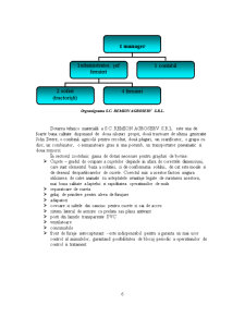 Analiza veniturilor la întreprinderea agricolă SC Remion Agroserv SRL - Pagina 3