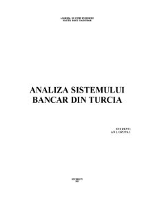 Analiza Sistemului Bancar din Turcia - Pagina 1